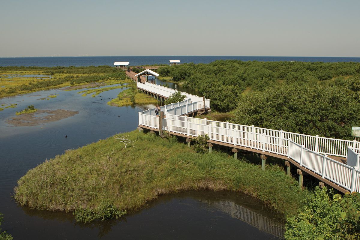 secrets-of-texas-tidal-lagoons-on-south-padre-island