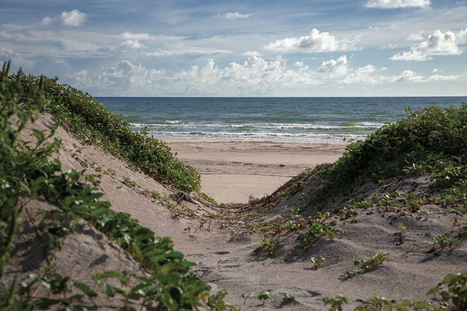 secrets-of-texass-padre-island-lagoons