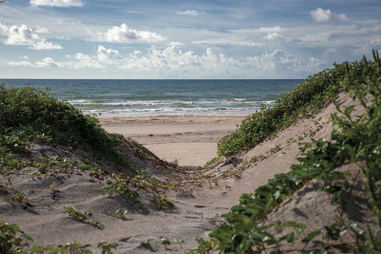 secrets-of-texass-padre-island-tidal-lagoons