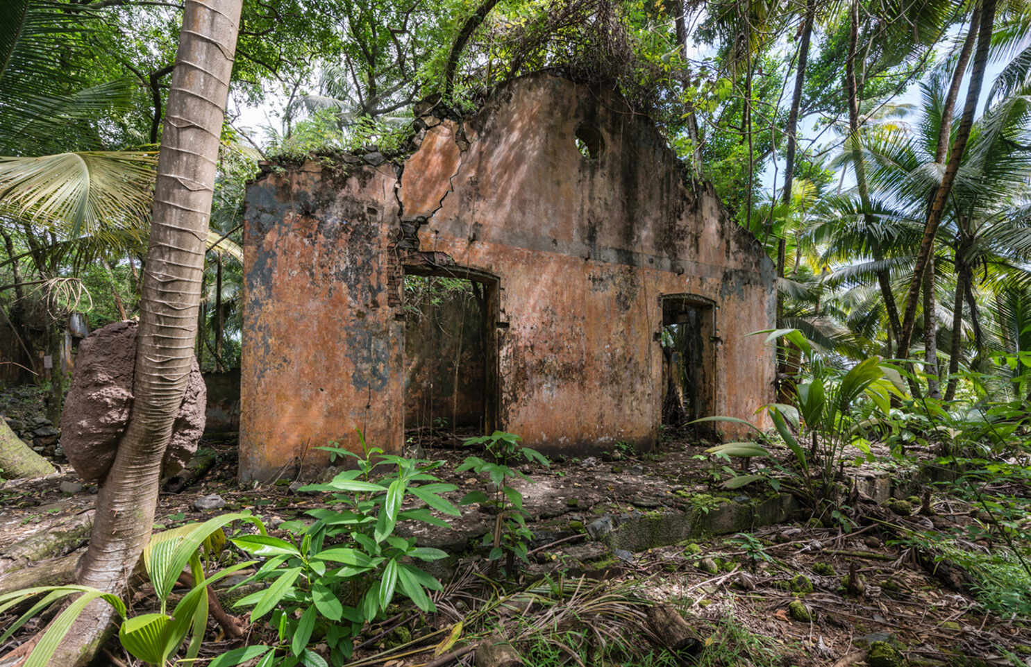 secrets-of-the-abandoned-colonial-ruins-on-devils-island