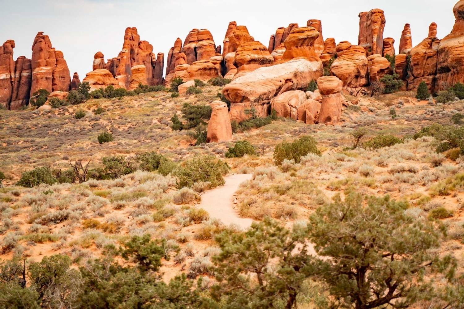 secrets-of-utahs-devils-garden-sandstone-fins