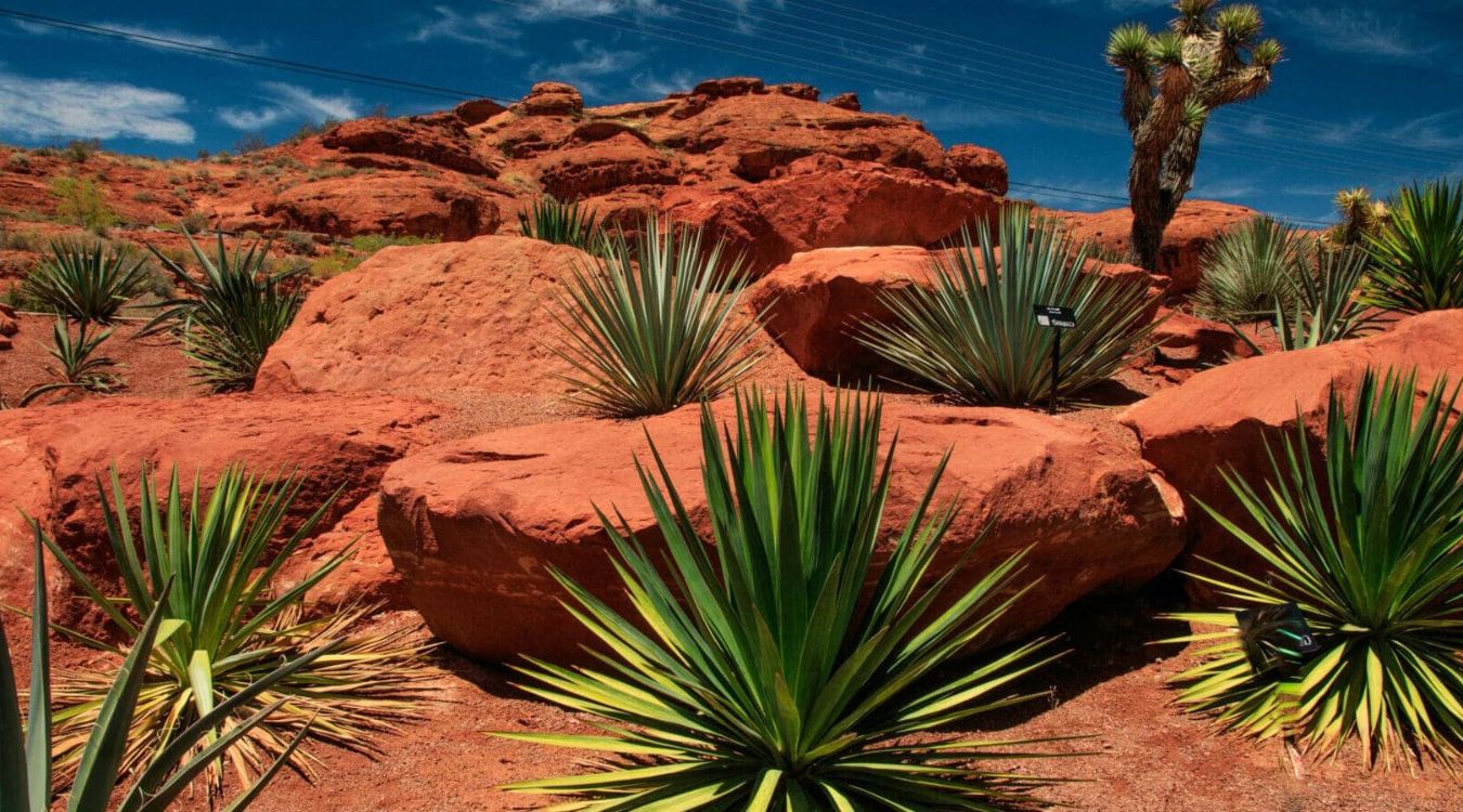 secrets-of-utahs-landscape-arch