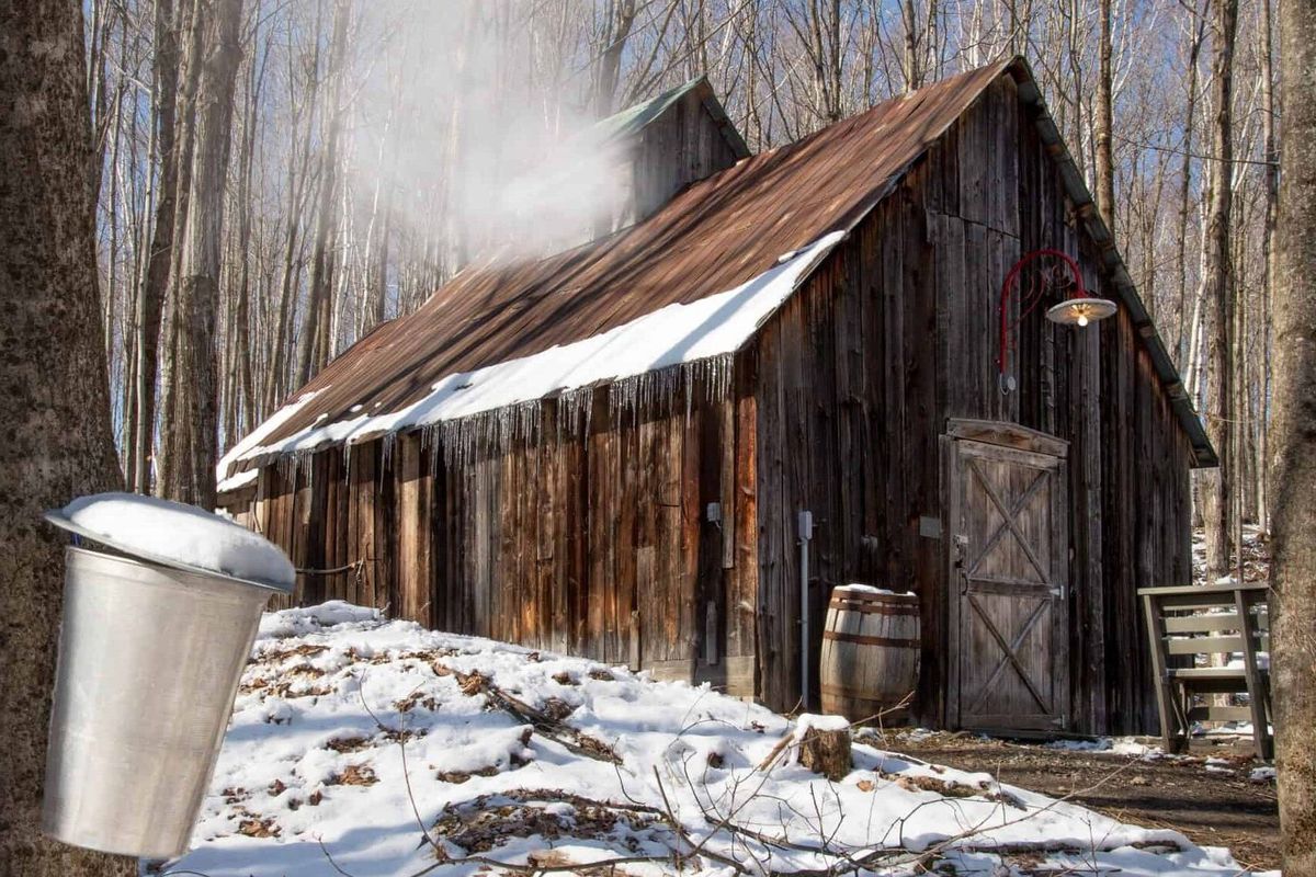 Secrets-Of-Vermont8217s-Maple-Sugar-Shacks secrets-of-vermonts-maple-sugar-shacks
