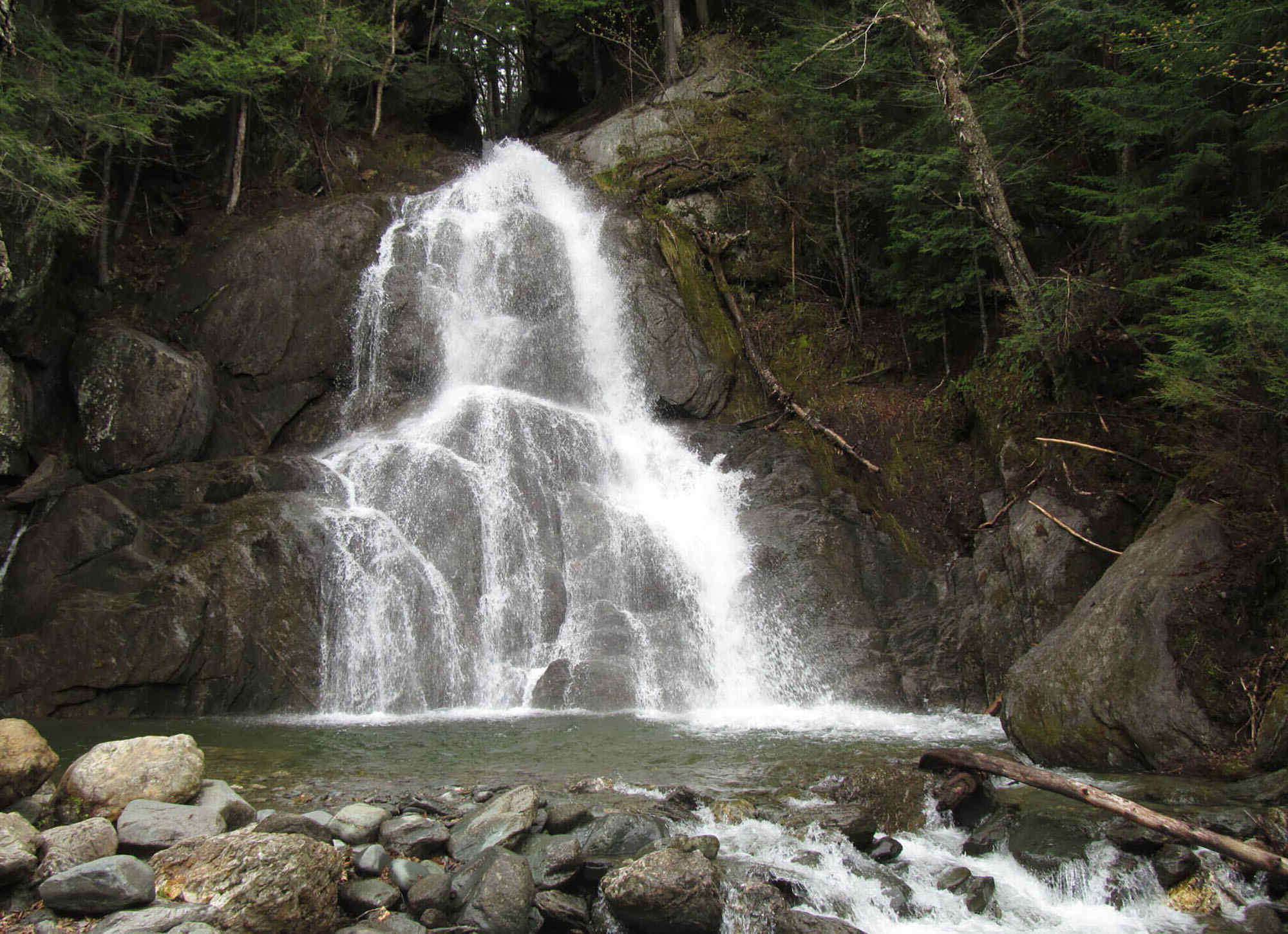 secrets-of-vermonts-waterfall-ecosystem-research
