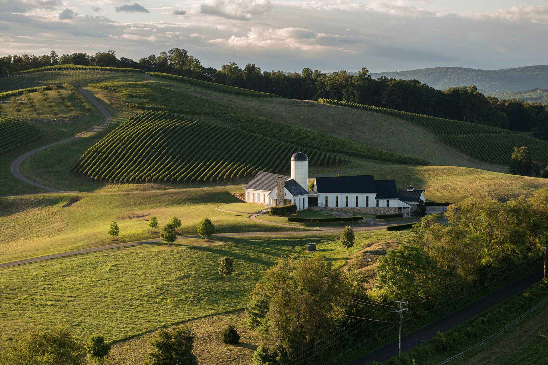 secrets-of-virginias-blue-ridge-wine-cellars