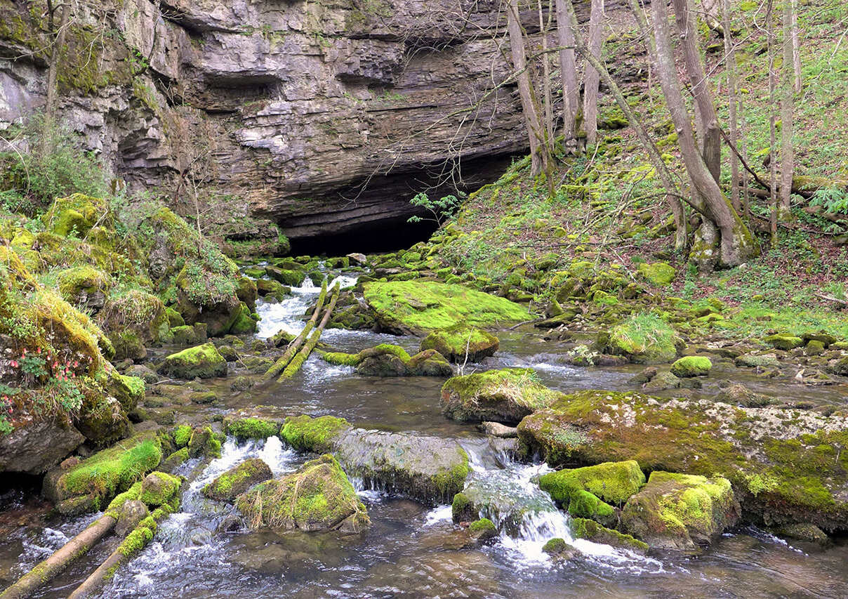 secrets-of-virginias-cave-conservancy