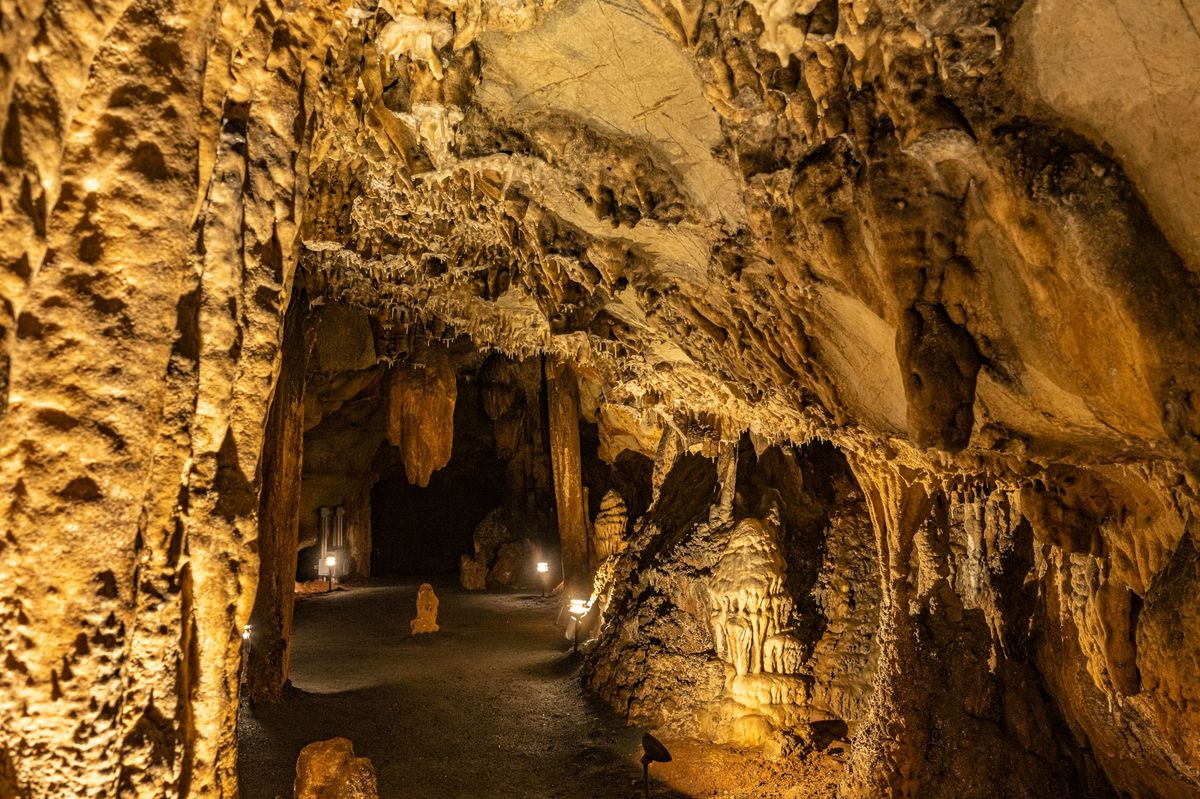 secrets-of-virginias-melrose-caverns