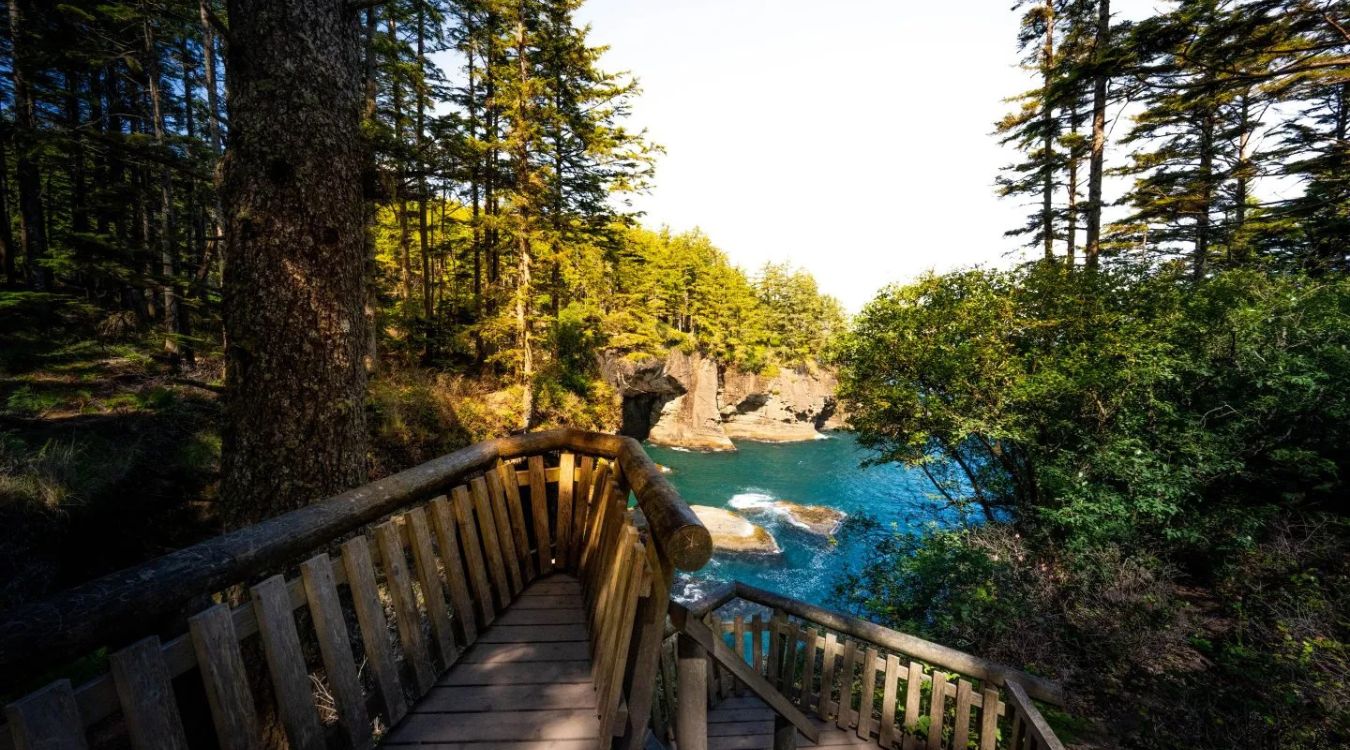 secrets-of-washingtons-cape-flattery-neah-bay