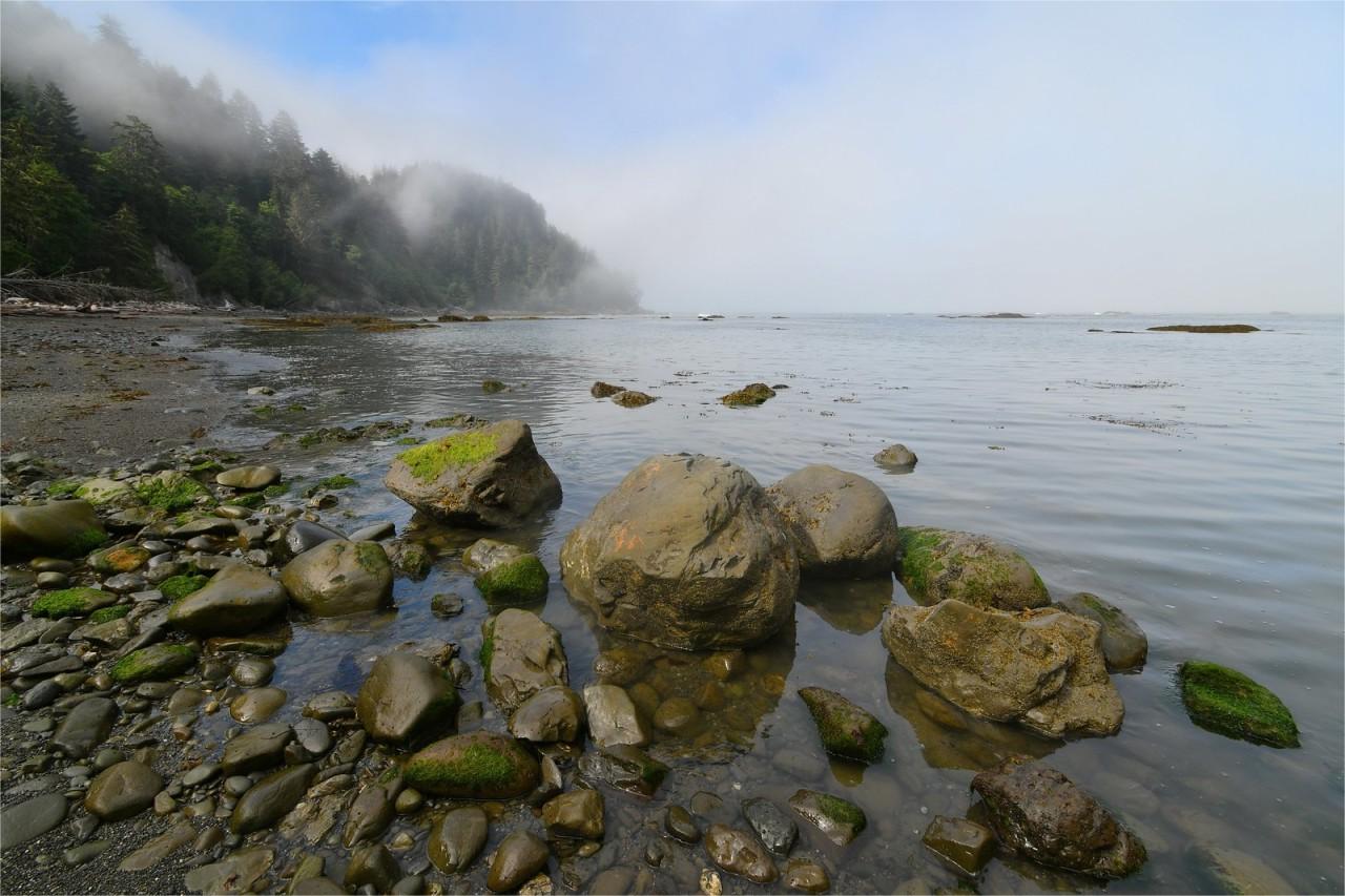 secrets-of-washingtons-olympic-coast-coves