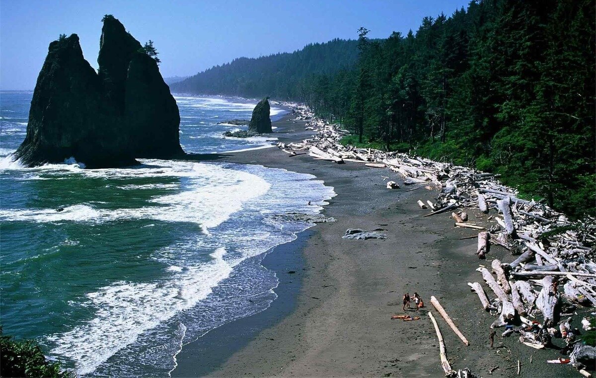 secrets-of-washingtons-olympic-coast-sea-stacks