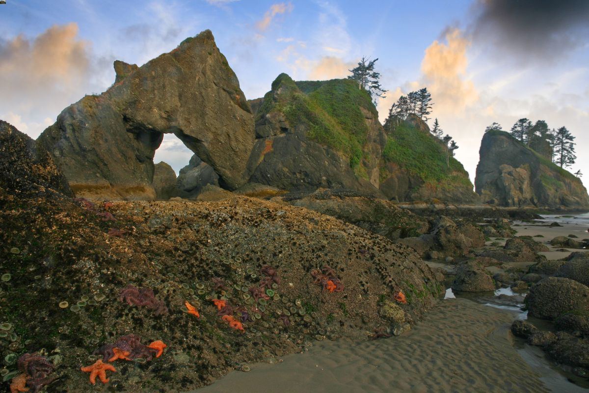 secrets-of-washingtons-point-of-arches