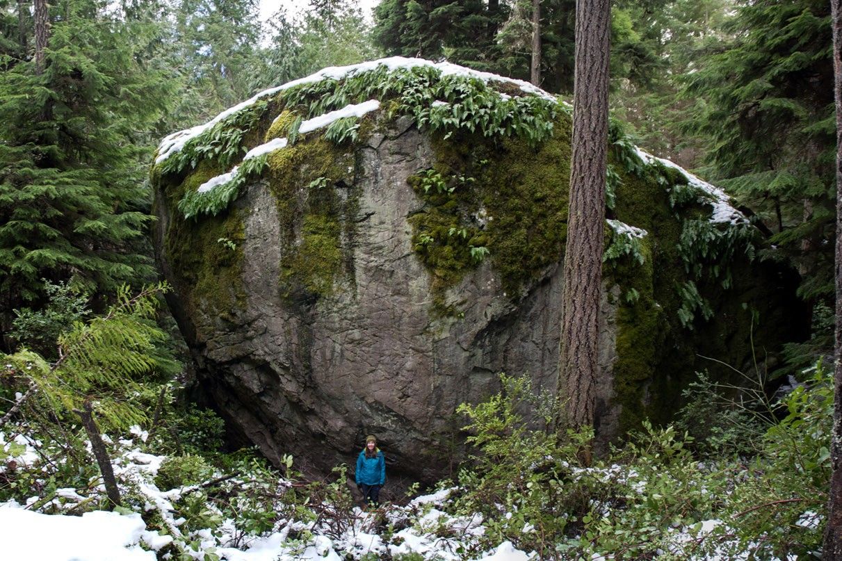 secrets-of-whidbey-islands-glacial-erratics