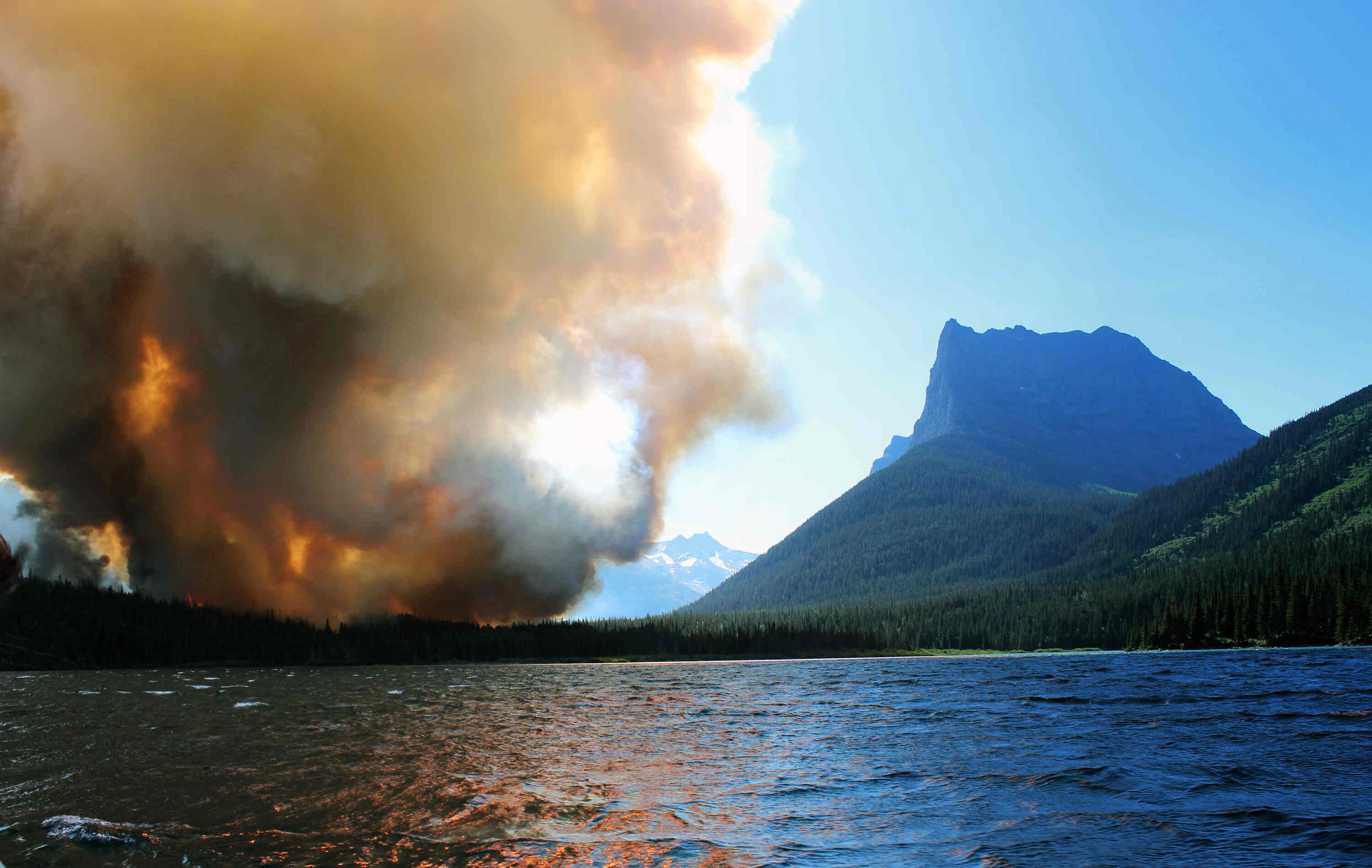 secrets-of-wildfire-recovery-in-glacier-park