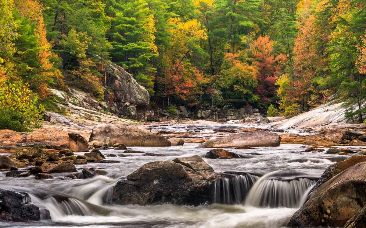 secrets-of-wilson-creeks-mountain-streams