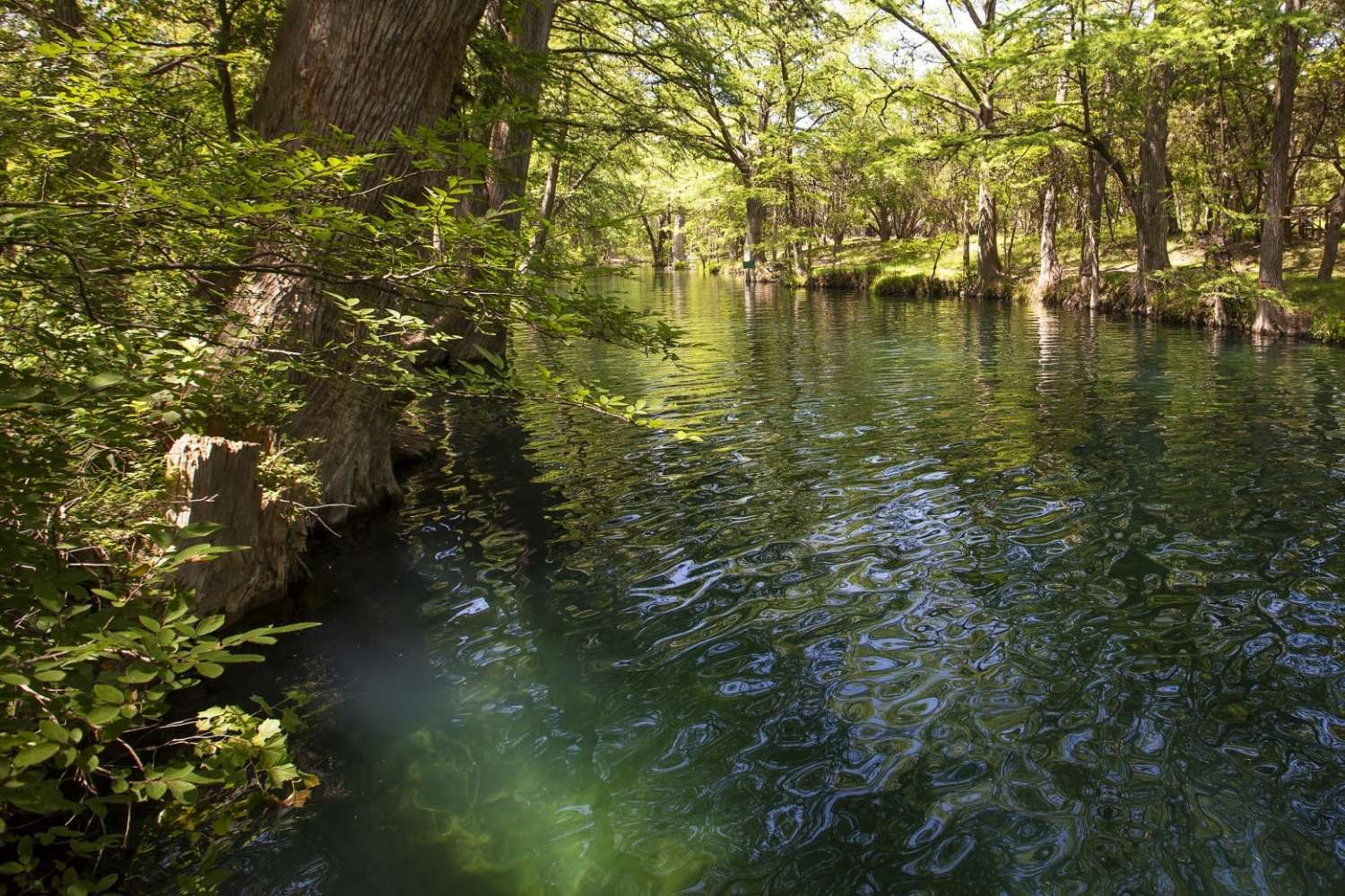 secrets-of-wimberleys-blue-hole-springs