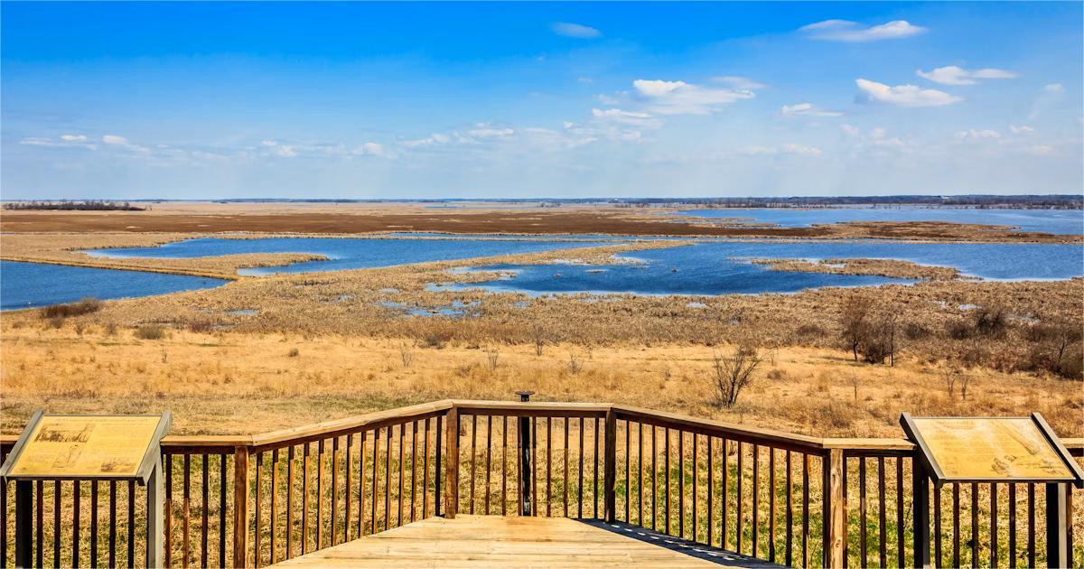 secrets-of-wisconsins-horicon-marsh-wetlands