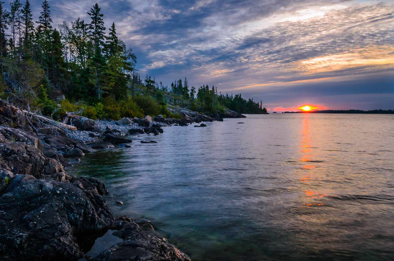 Secrets-Of-Wolf-Territories-In-Michigan8217s-Isle-Royale-National-Park secrets-of-wolf-territories-in-michigans-isle-royale-national-park