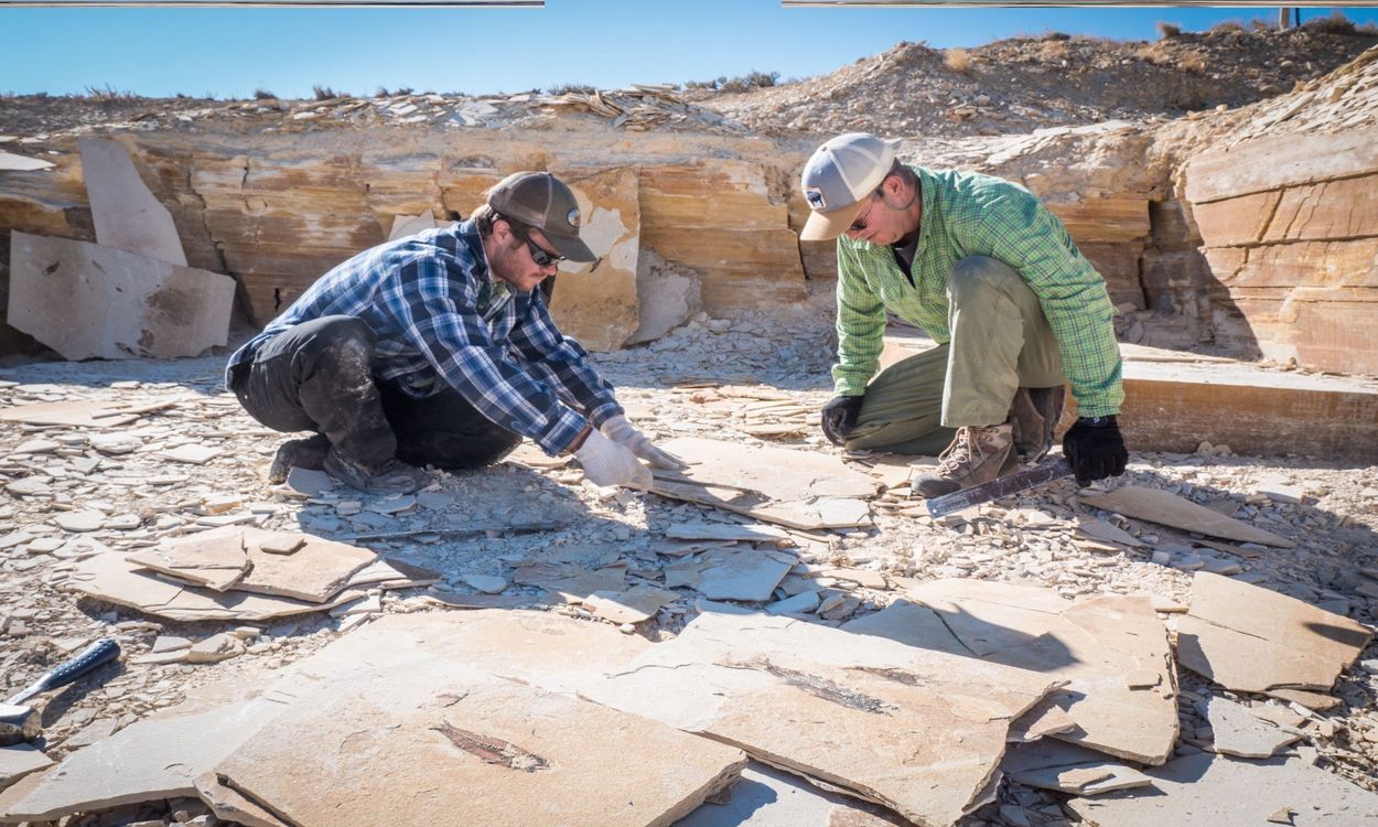 secrets-of-wyomings-fossil-butte-hunting