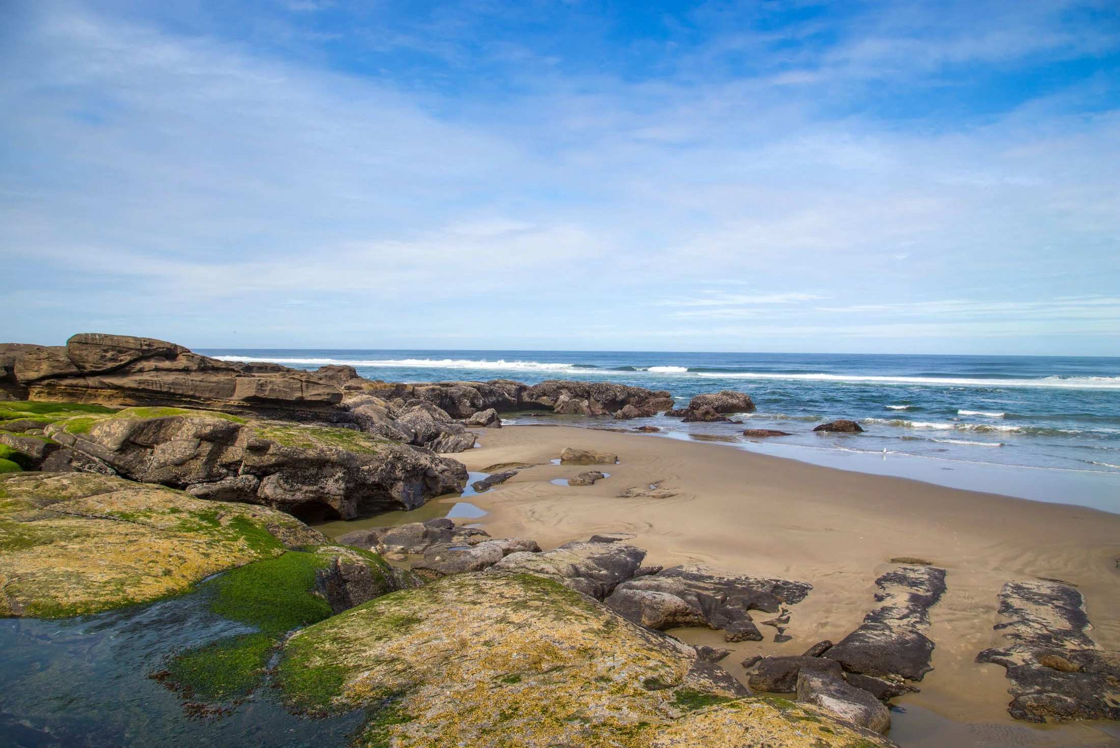 secrets-of-yachats-tidal-pools