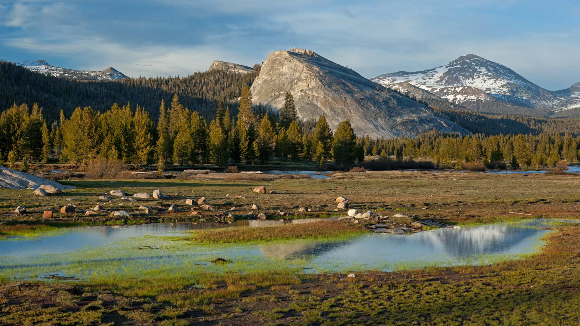 secrets-of-yosemite-valleys-hidden-meadows