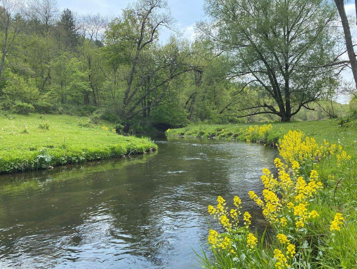 wisconsins-driftless-area-spring-creeks-revealed