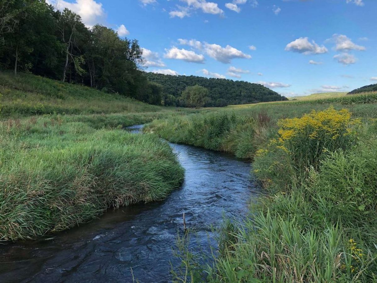 wisconsins-driftless-area-trout-streams-revealed