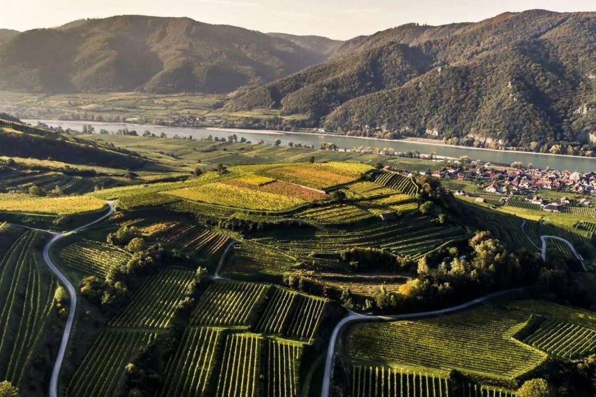 hidden-concert-gems-in-austrias-wachau-valley