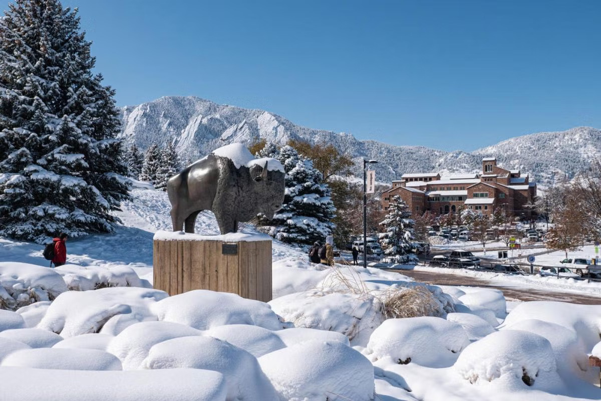 hidden-snow-insights-from-colorados-arctic-institute