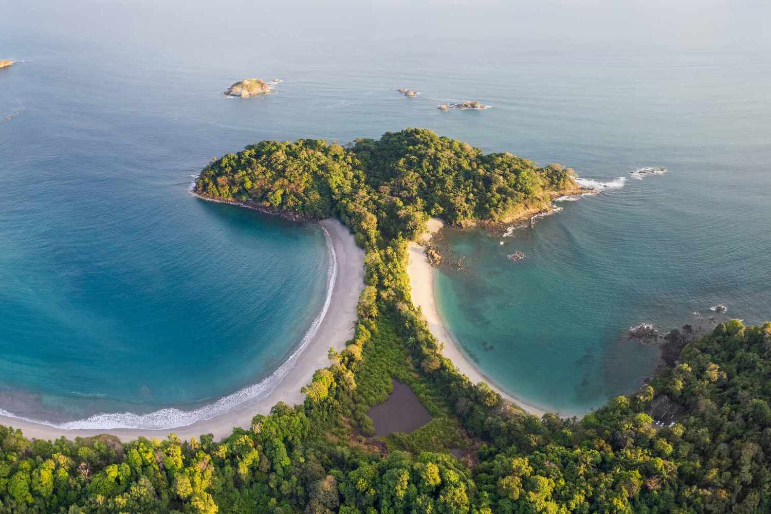 secret-spots-for-mangrove-dolphin-watching-in-costa-ricas-manuel-antonio