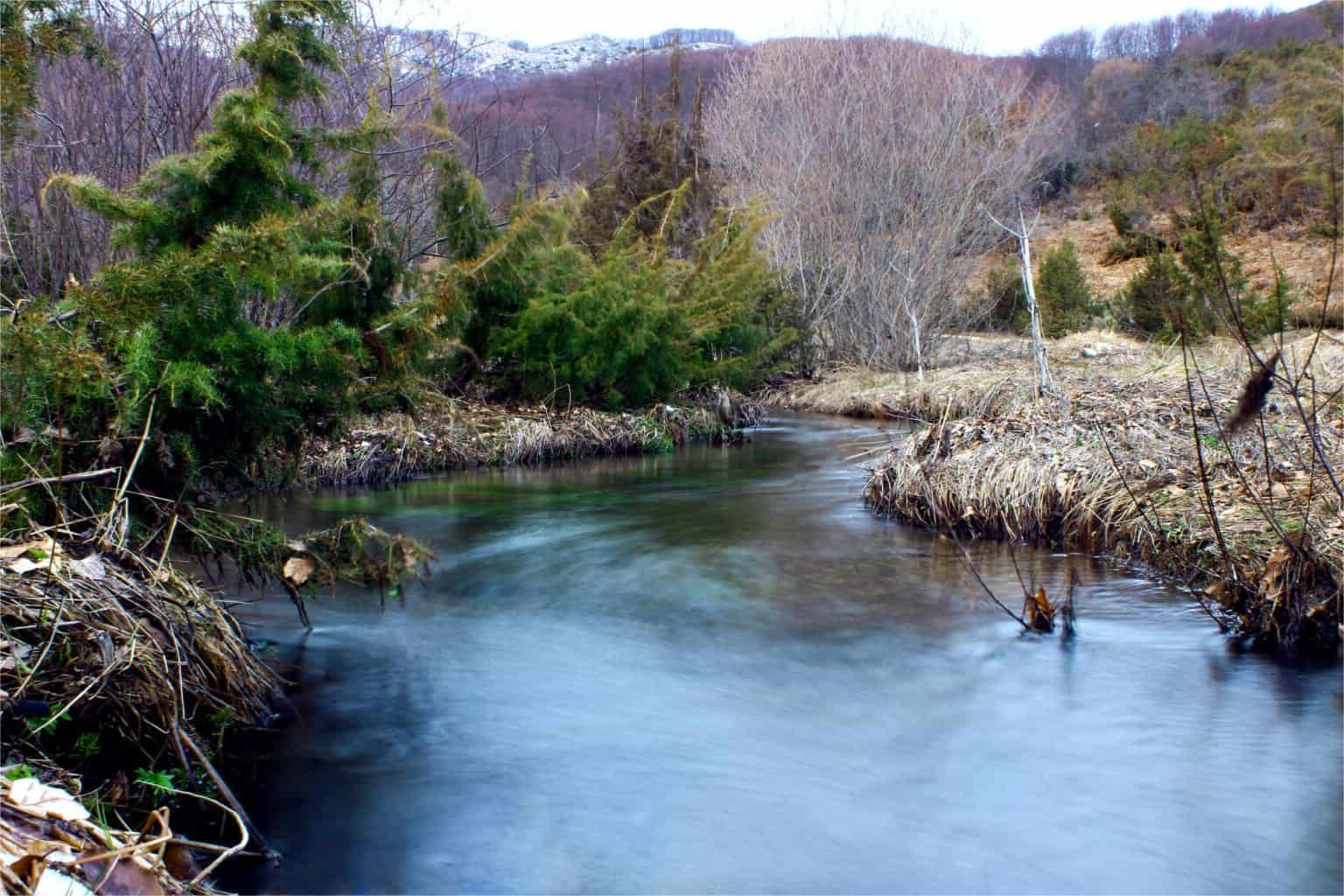 secrets-of-arkansass-spring-river-channels