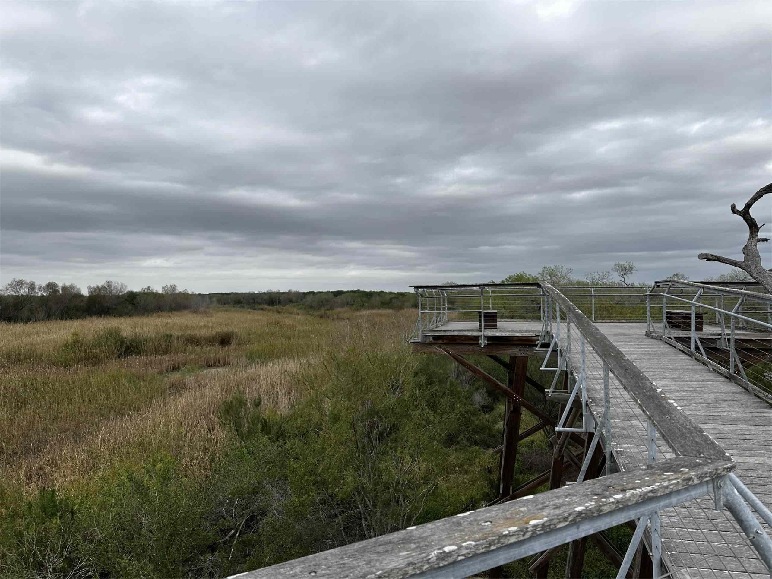 Secrets-Of-Bird-Migration-In-Texas8217s-Bentsen-Rio-Grande-Valley-Park secrets-of-bird-migration-in-texass-bentsen-rio-grande-valley-park