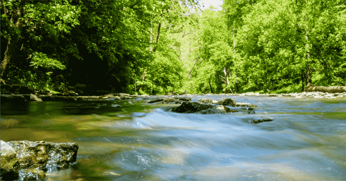 secrets-of-kentuckys-limestone-spring-caves