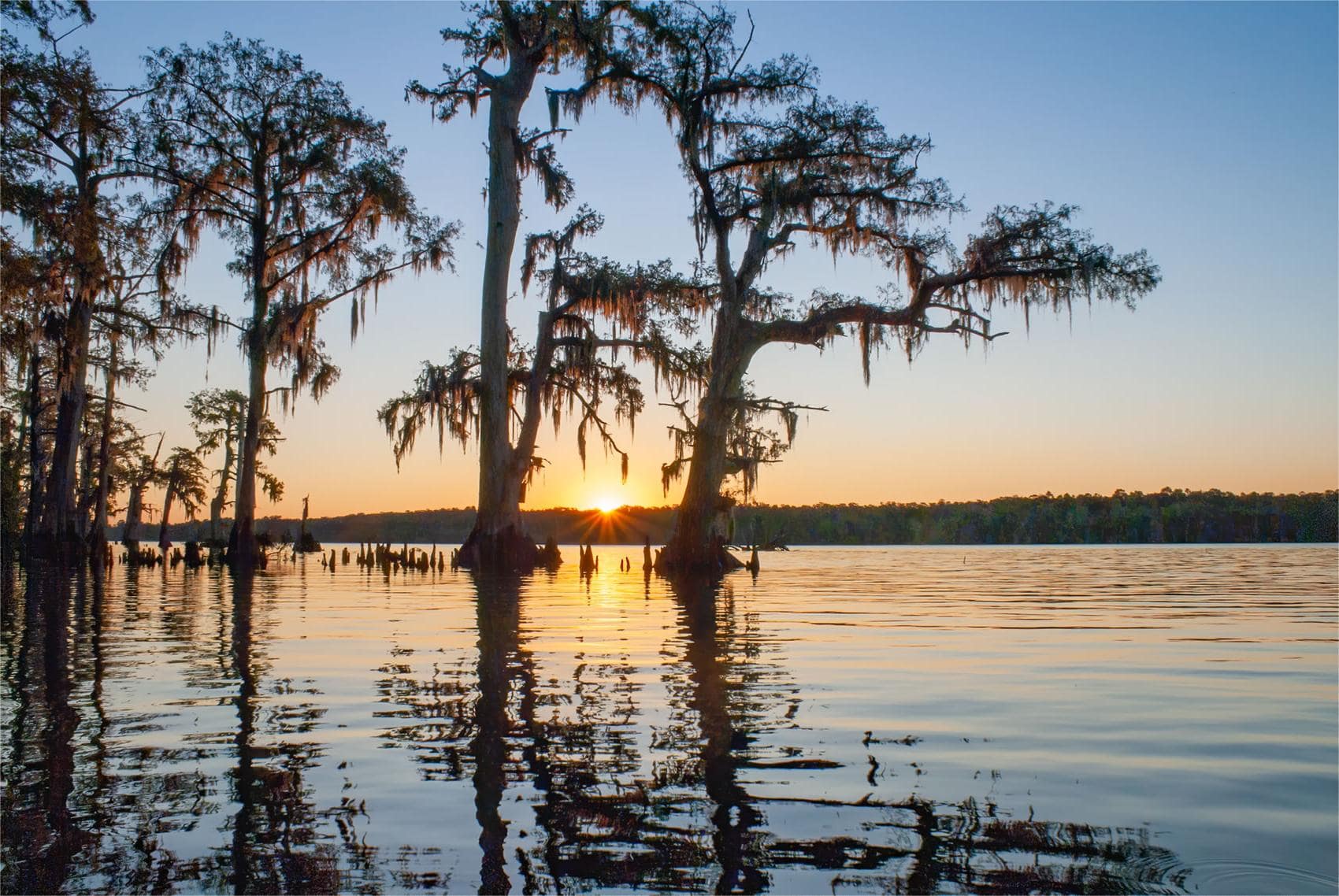 secrets-of-louisianas-atchafalaya-basin-bird-watching-blinds