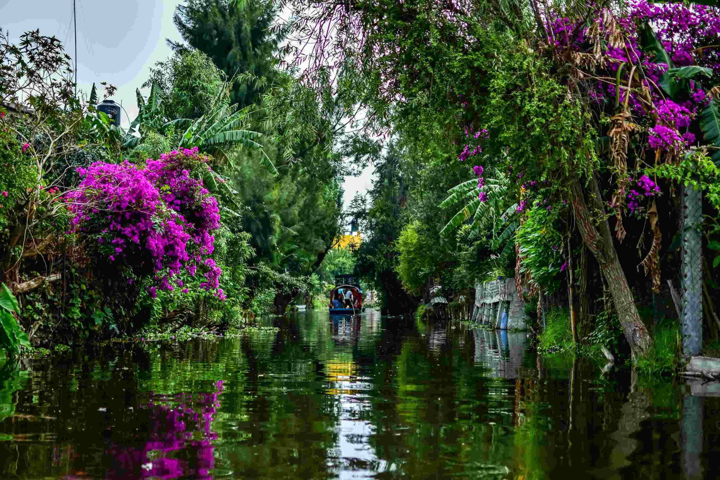 secrets-of-the-aztec-floating-gardens-in-xochimilco