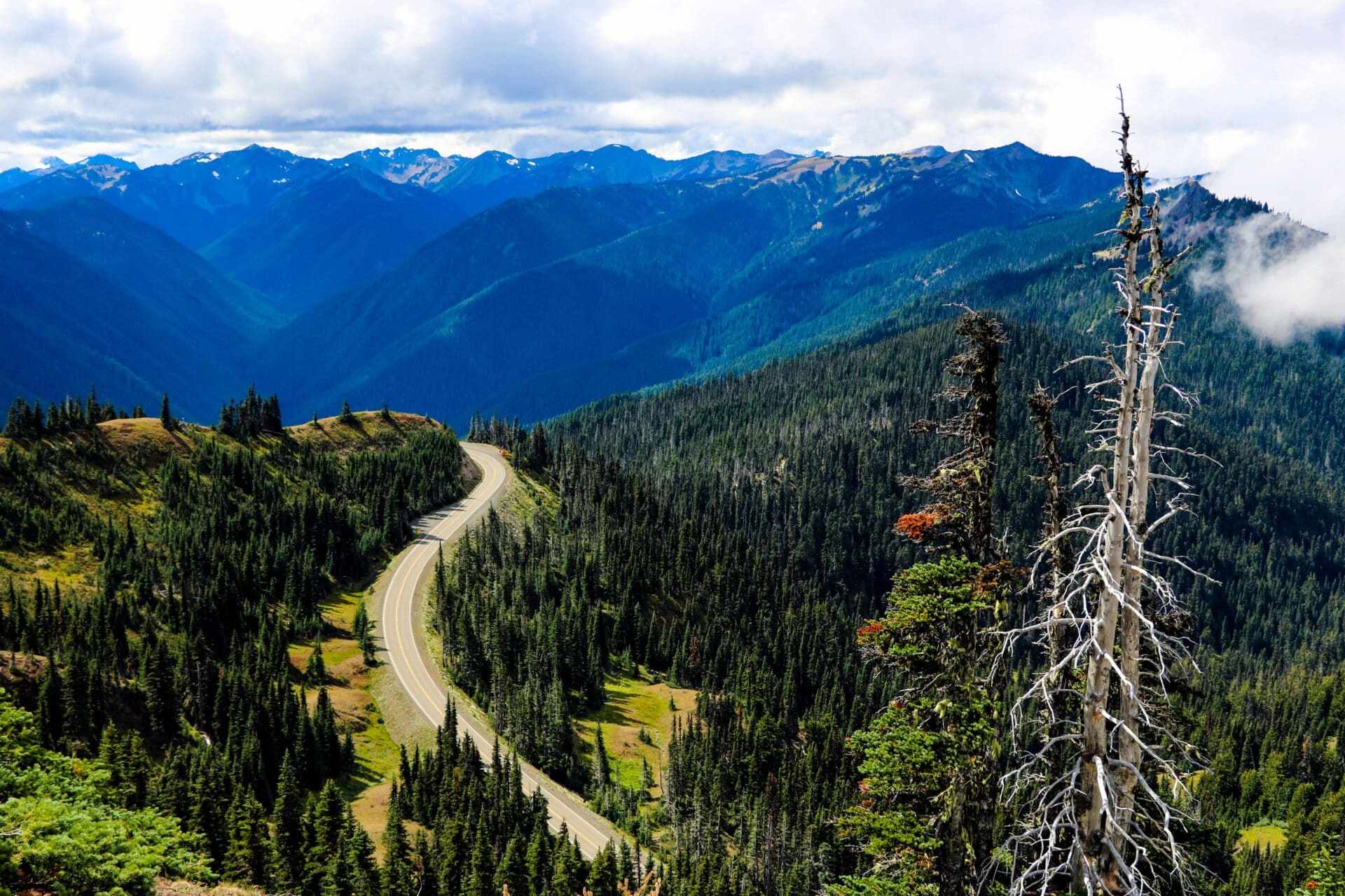 secrets-of-washingtons-olympic-mountains-railways