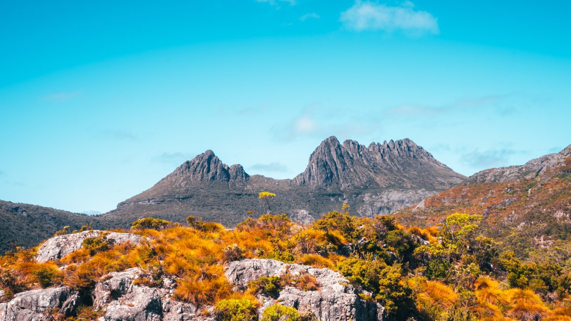 Photo of cradle mountain in the distance with rocky formations on top and a foreground of orange and yellow plant-life on a smaller mountaintop with mountains in between and a bright blue sky with a few clouds