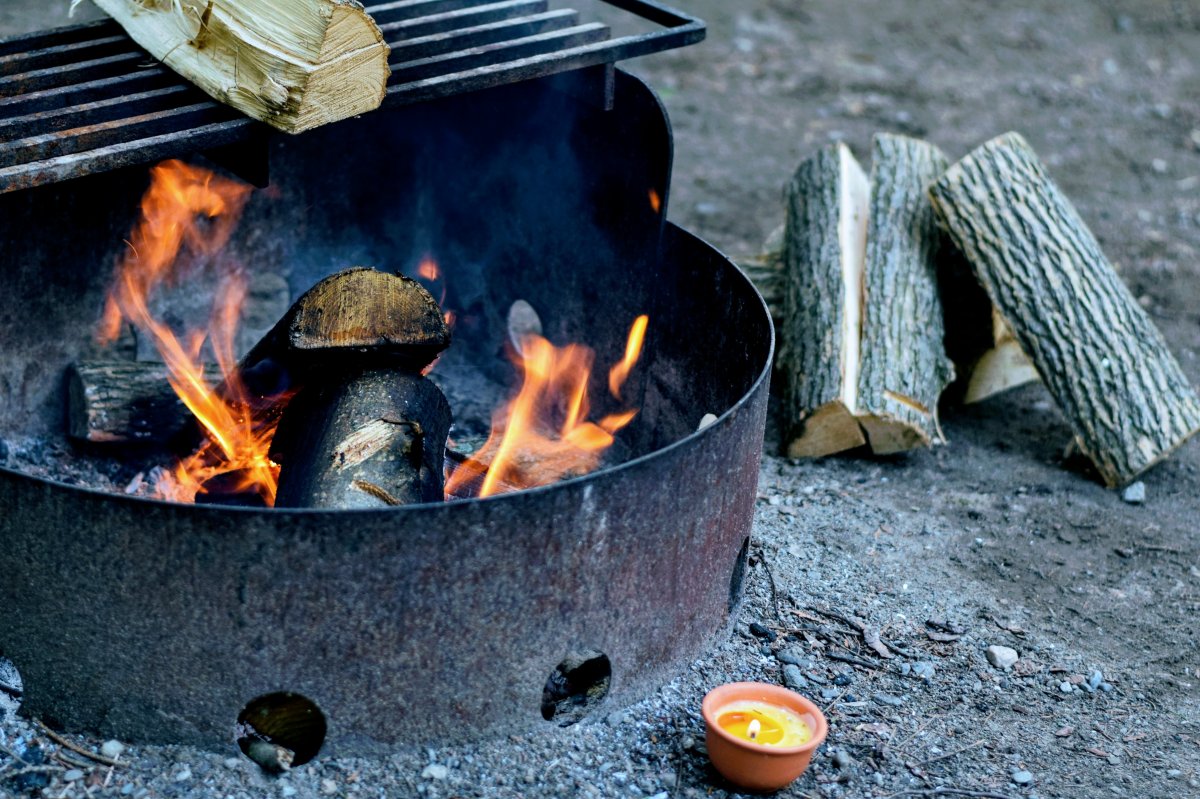 Logs of wood burn in a campfire in Bruce Peninsula National Park, Ontario, Canada