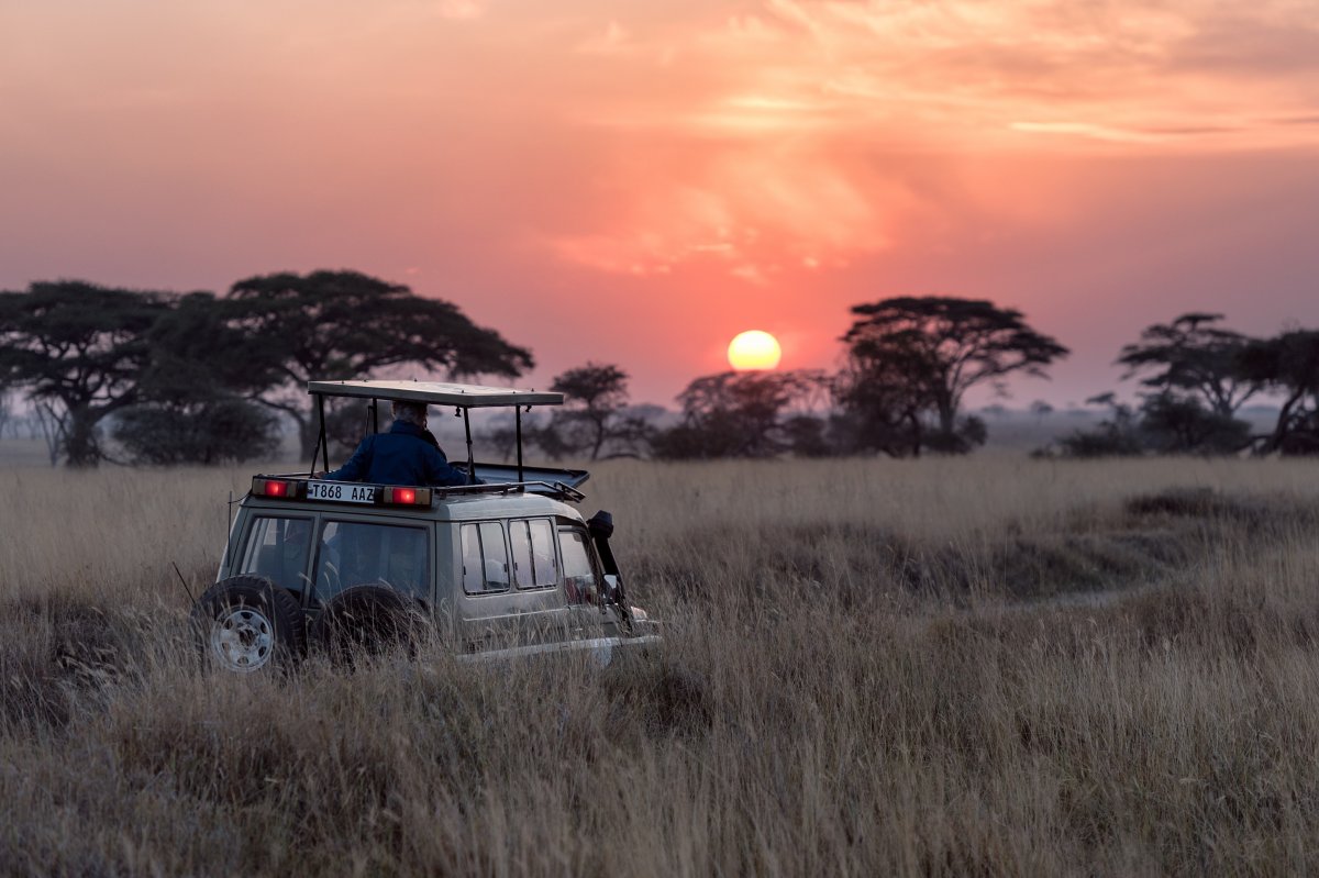 A man rides on top of a safari vehicle as the sun sets