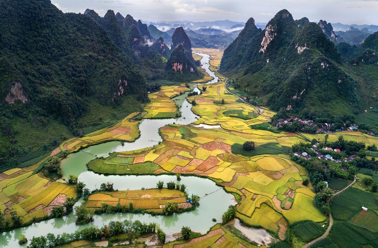 Aerial view of the rice fields in Vietnam