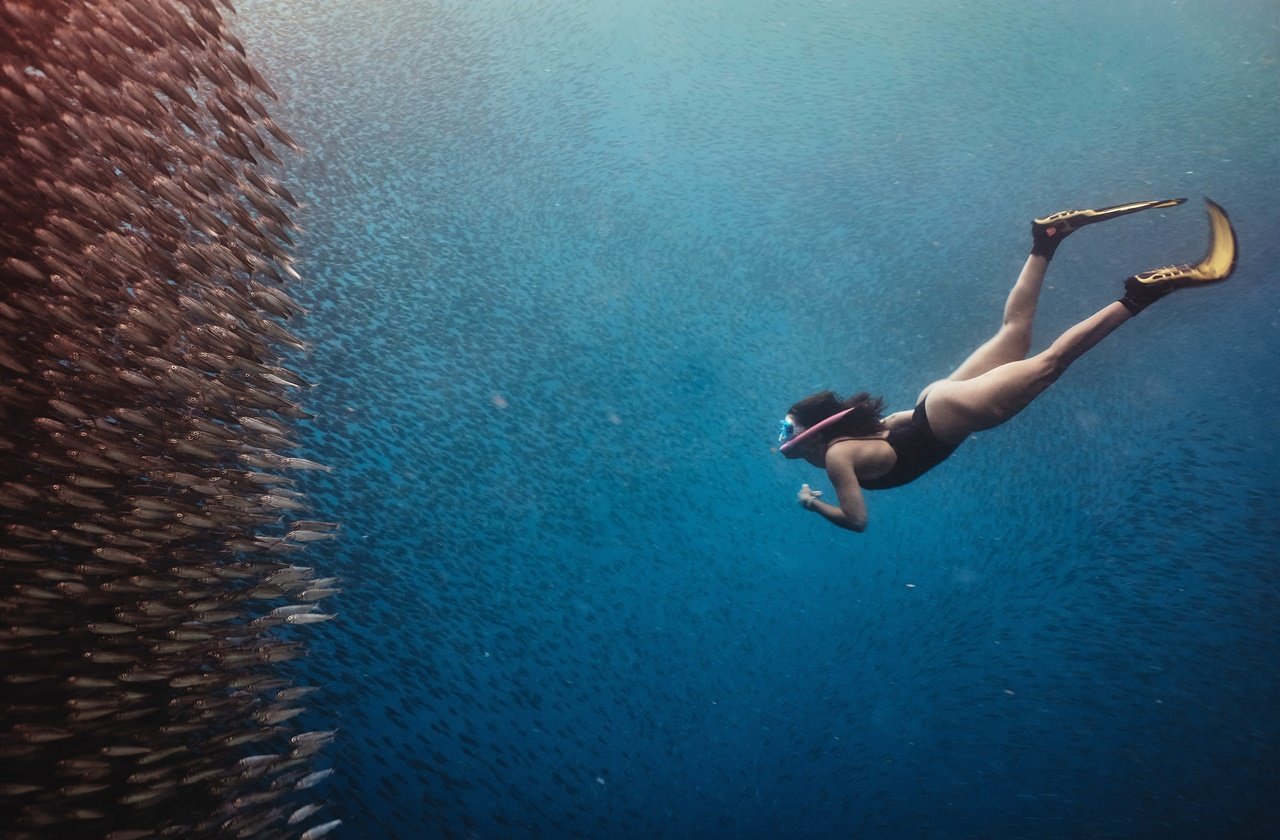 Female diver on a sardine run in moalboal cebu