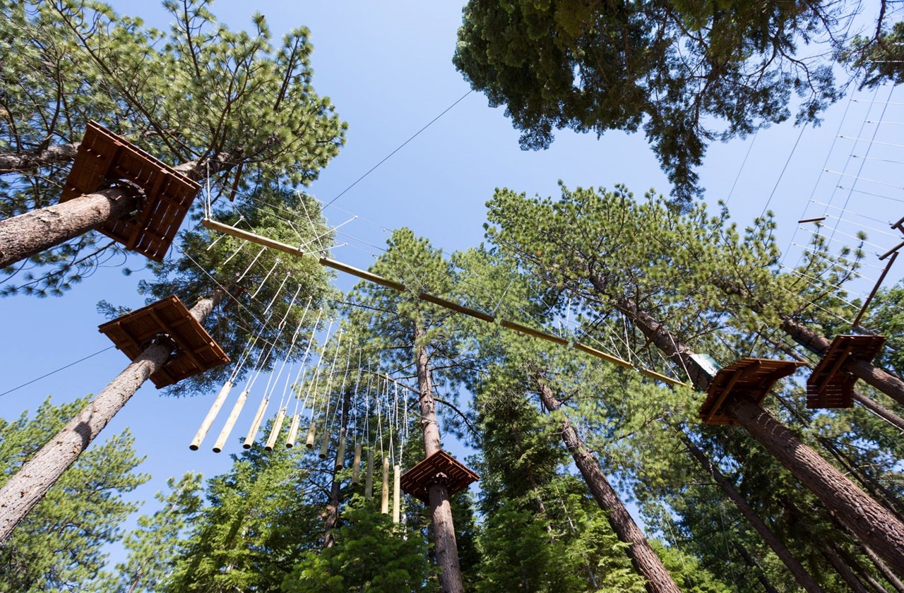View of the platforms and obstacle courses at Tahoe Treetop Adventure Parks