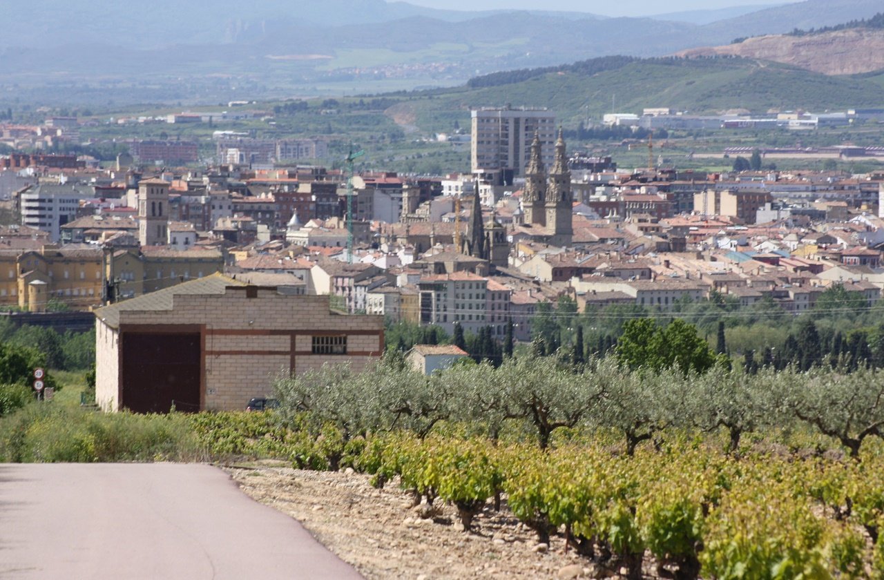 View of the city of Logrono from a vineyard