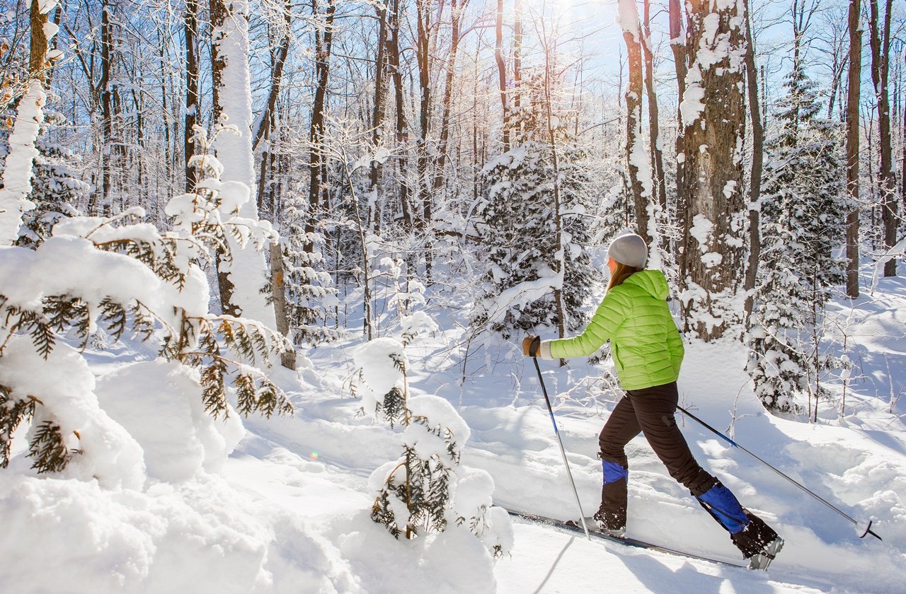 Woman exploring a snow-covered forest