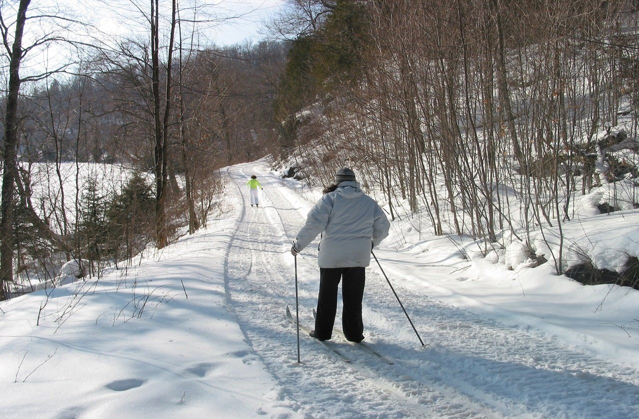 Woman cross-country skiing at a forest