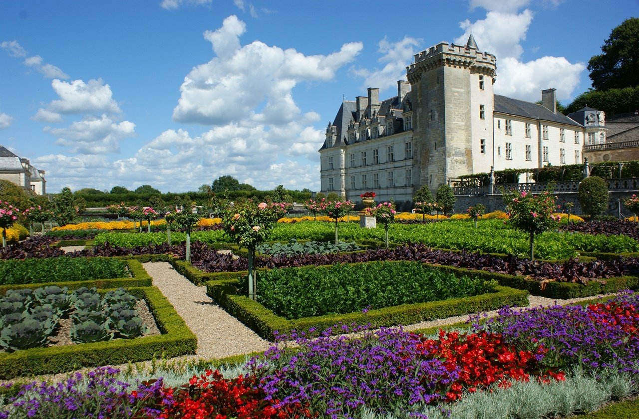 One of the gardens in Château de Villandry in full bloom