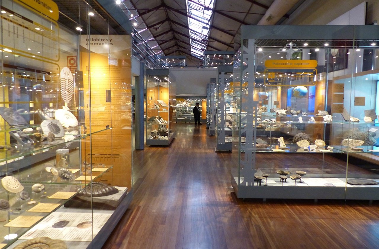 Inside the National Museum of Natural Sciences