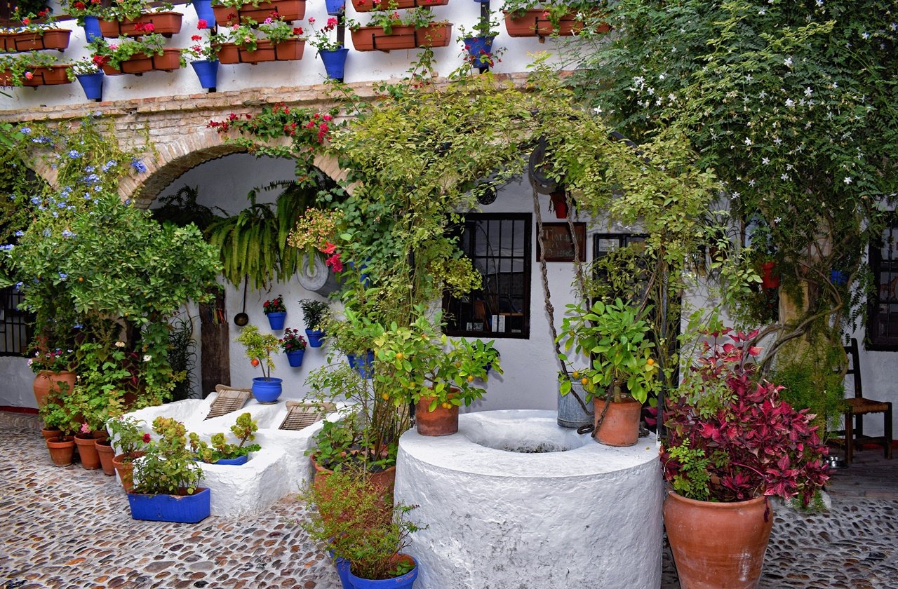 Cordoba Patios Festival One of the houses in Cordoba decorated with flowers and plants