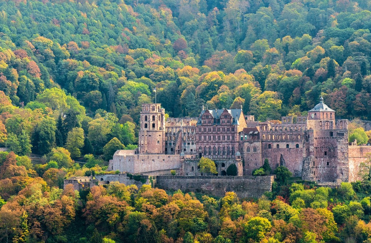 Heidelberg Castle surrounded by forests