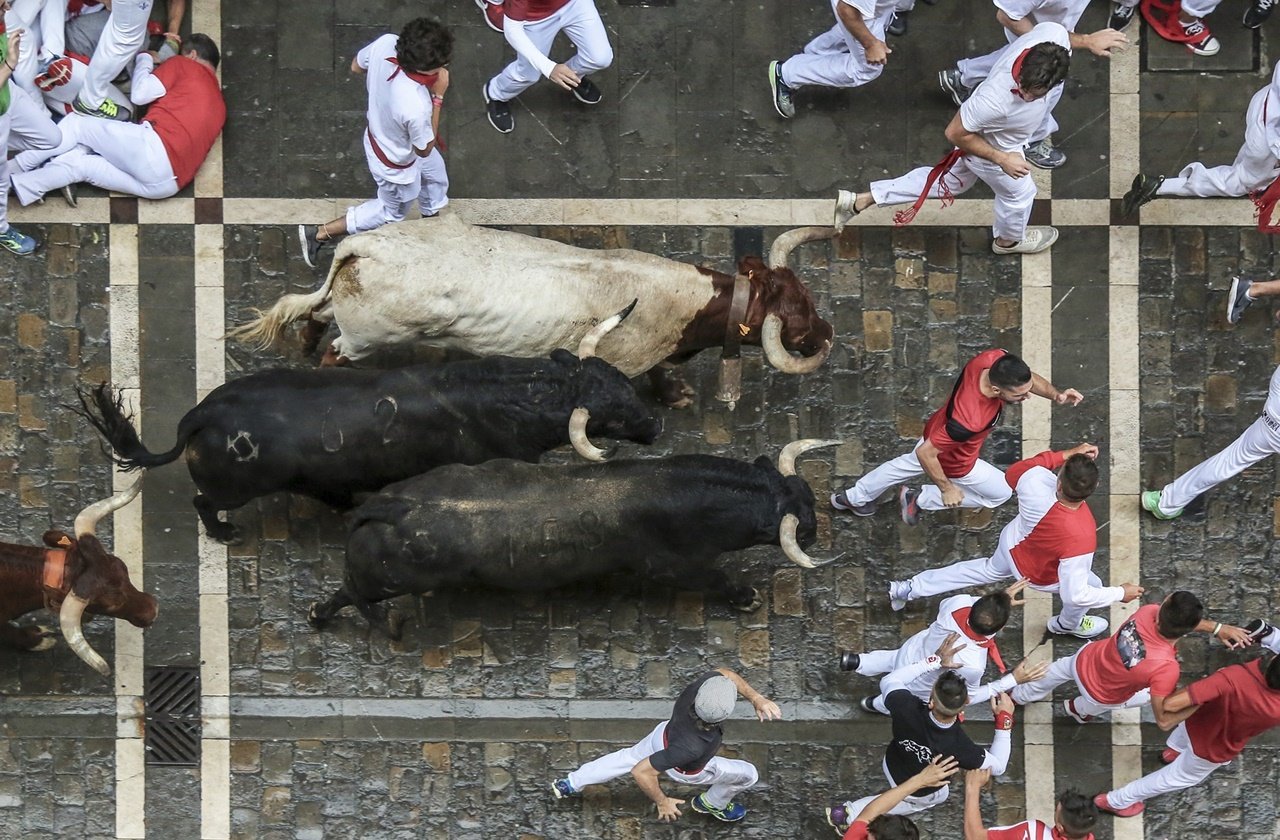 Festival of San Fermin Pamplona bull run during the Festival of San Fermin
