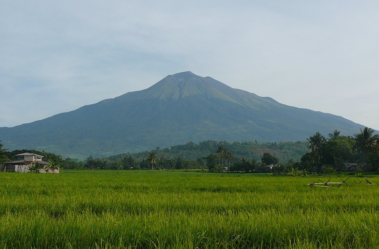 View of Mount Kanlaon from a rice field